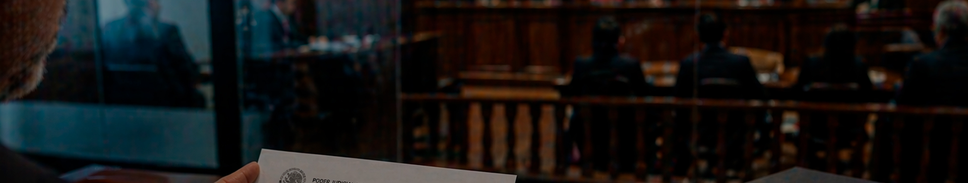 ESTUDIO DE PERCEPCIÓN DE USUARIOS DEL SISTEMA DE JUSTICIA 